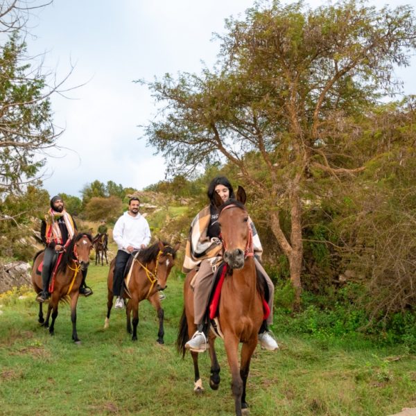 Advanced Horse Riding Experience Sightseeing and Tours