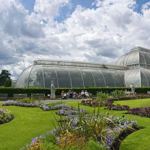 Kew Gardens & Kew Palace: Admission Ticket Top-Rated Attractions